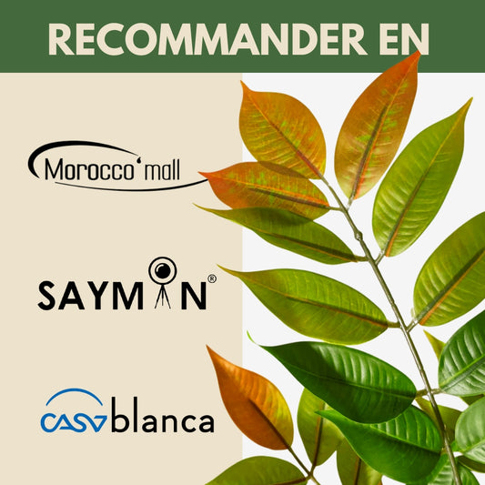 Nandina Artificielle