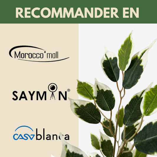 Ficus Panaché Artificiel