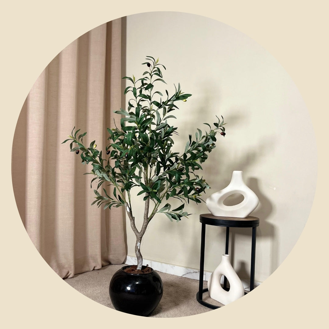 Plantes
