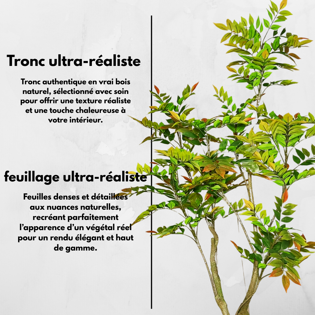 Nandina Artificielle
