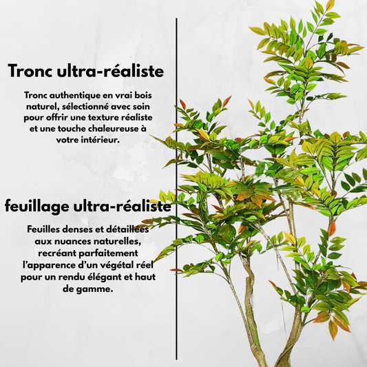 Nandina Artificielle