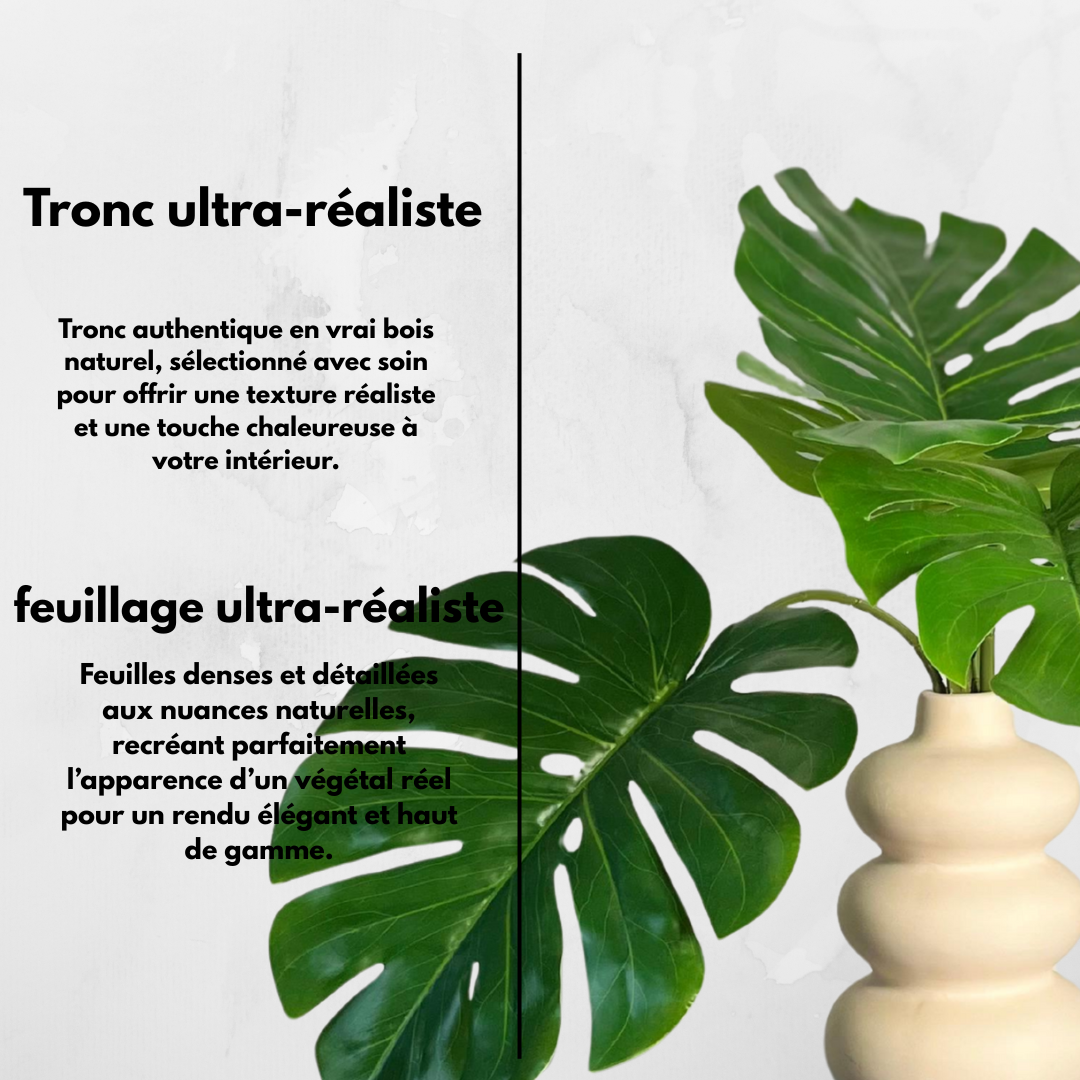 Monstera S