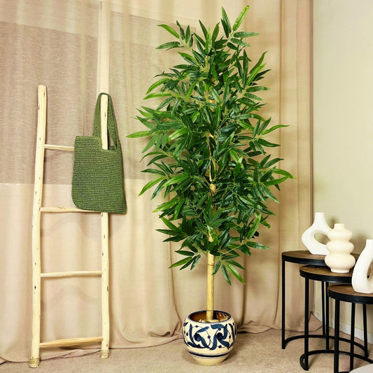 Bambou Premium