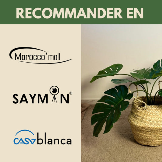 Monstera S