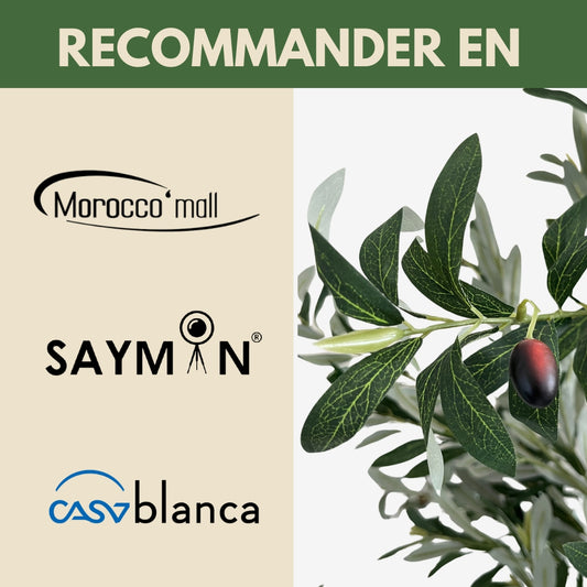 Zitouna