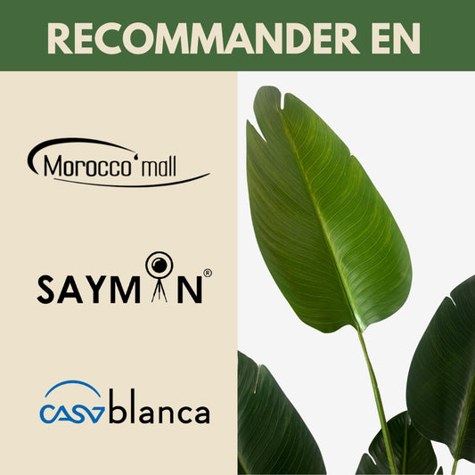 Arbre Bananier Artificiel