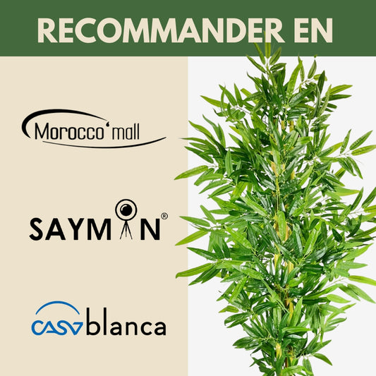 Bambou Premium