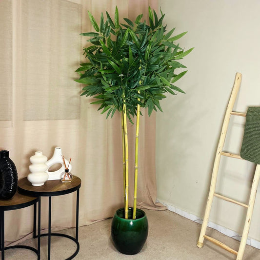 Exclusive Bamboo