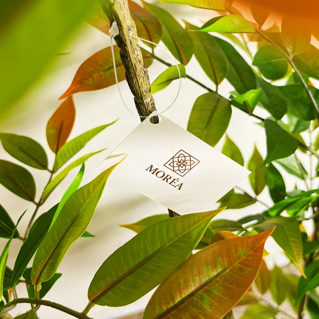 Nandina Artificielle