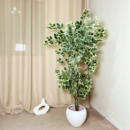 Ficus Panaché Artificiel