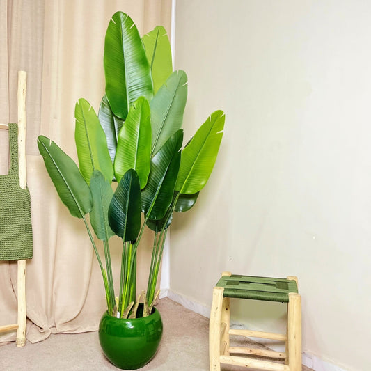 Strelitzia Artificielle