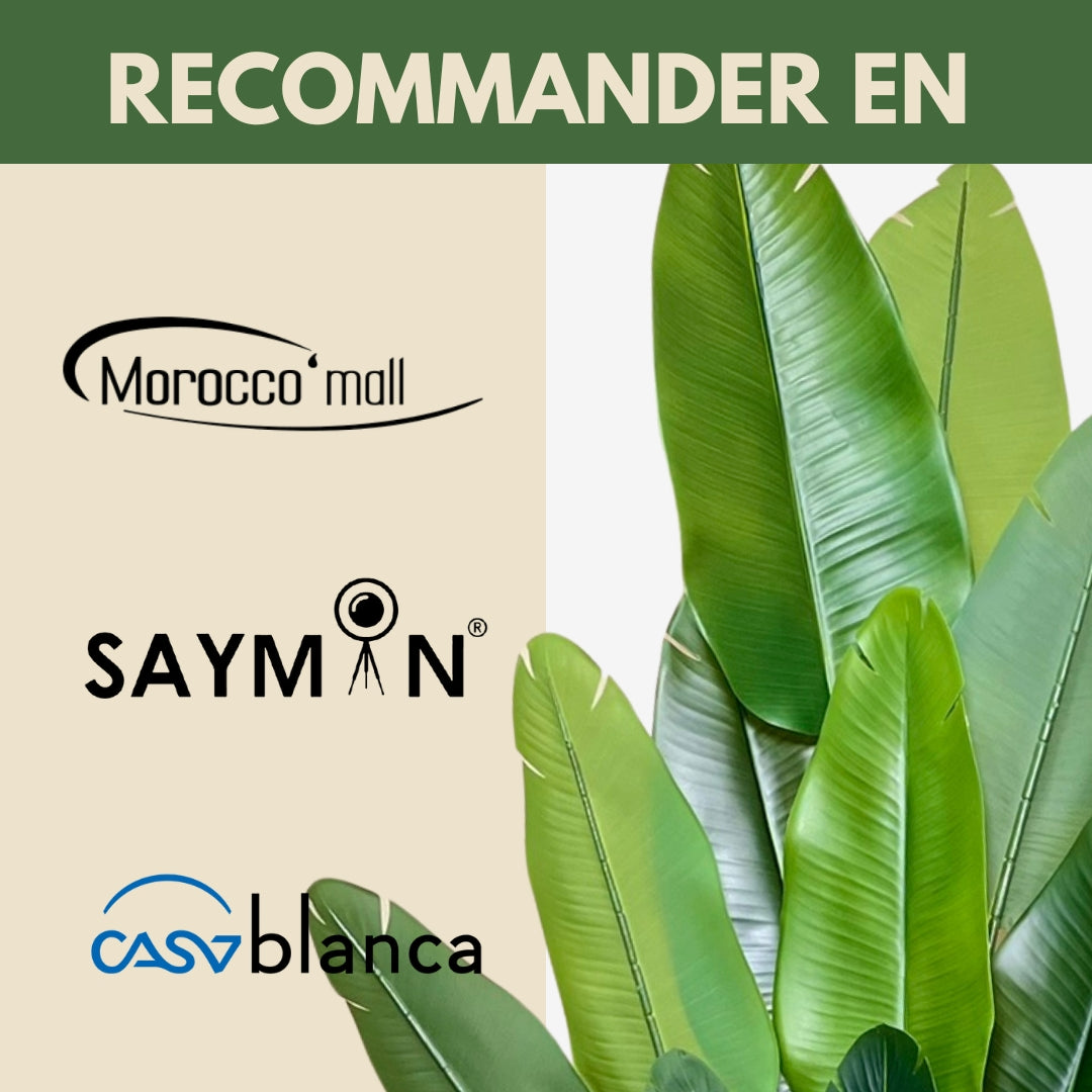 Strelitzia Artificielle