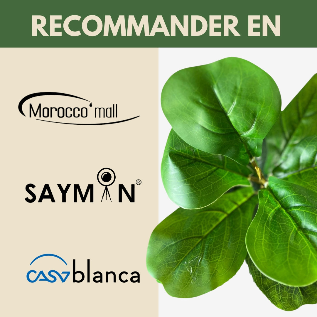 Ficus artificiel