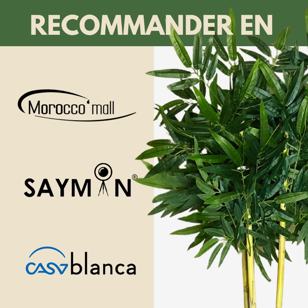 Exclusive Bamboo
