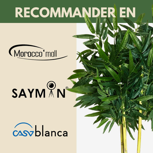 Exclusive Bamboo