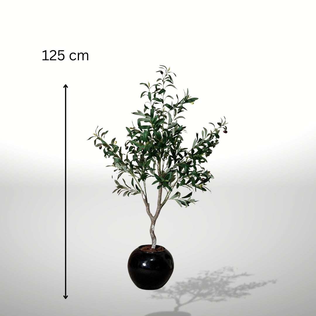Zitouna