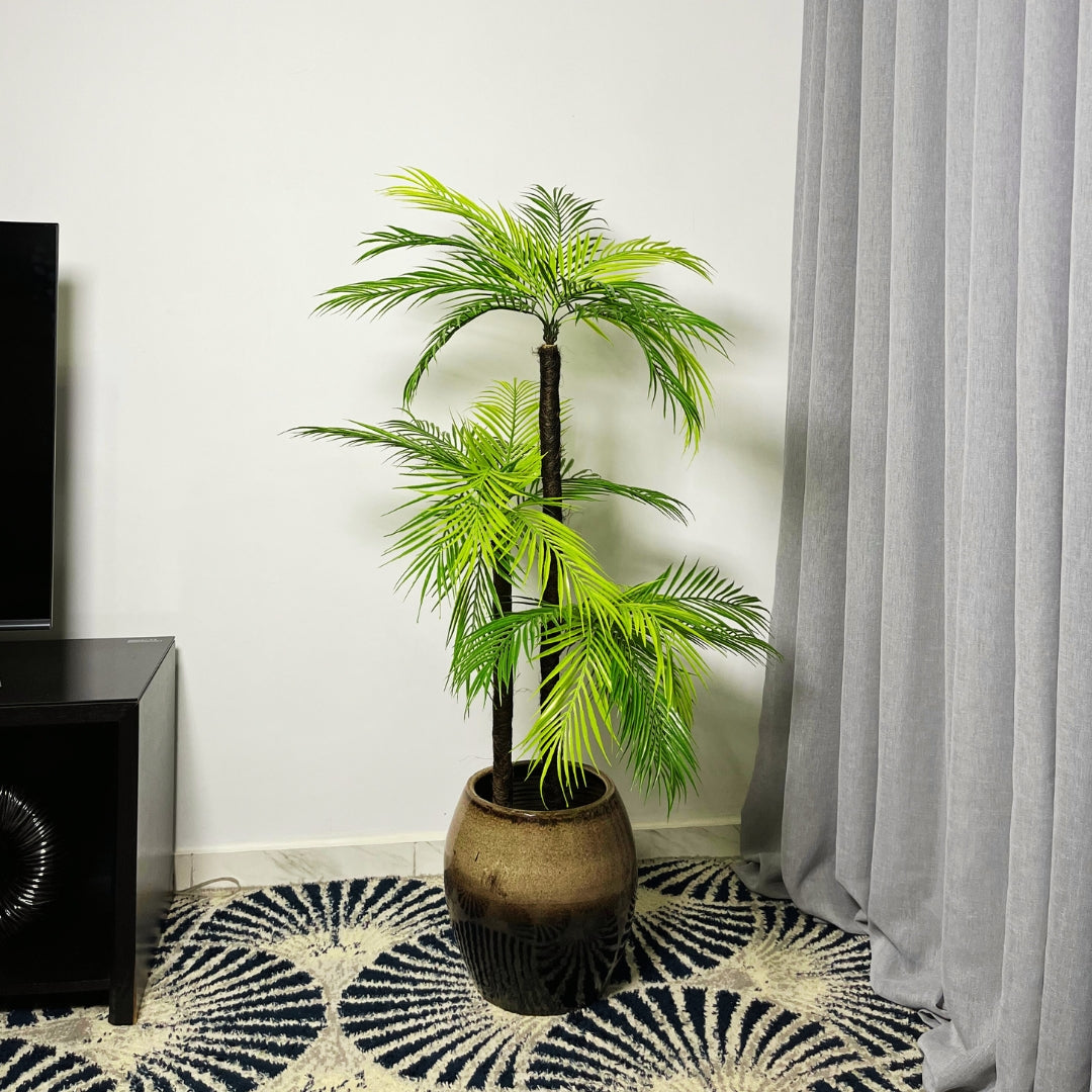 Palmier minimal