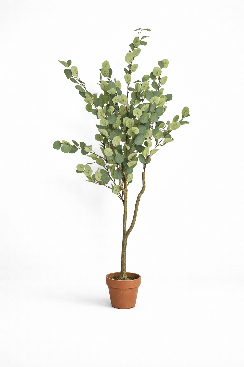 Eucalyptus Artificiel