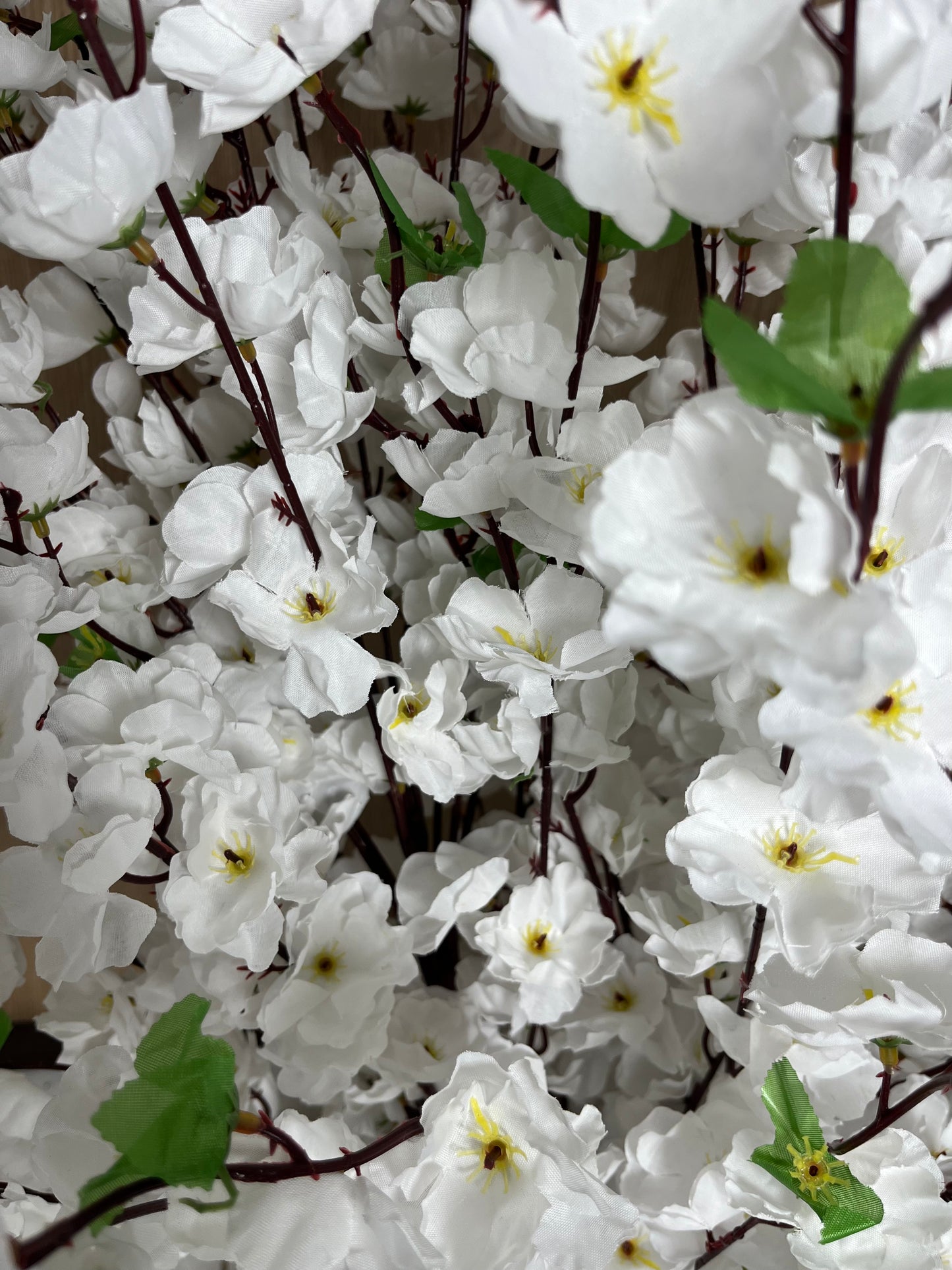 Cerisier Japonai