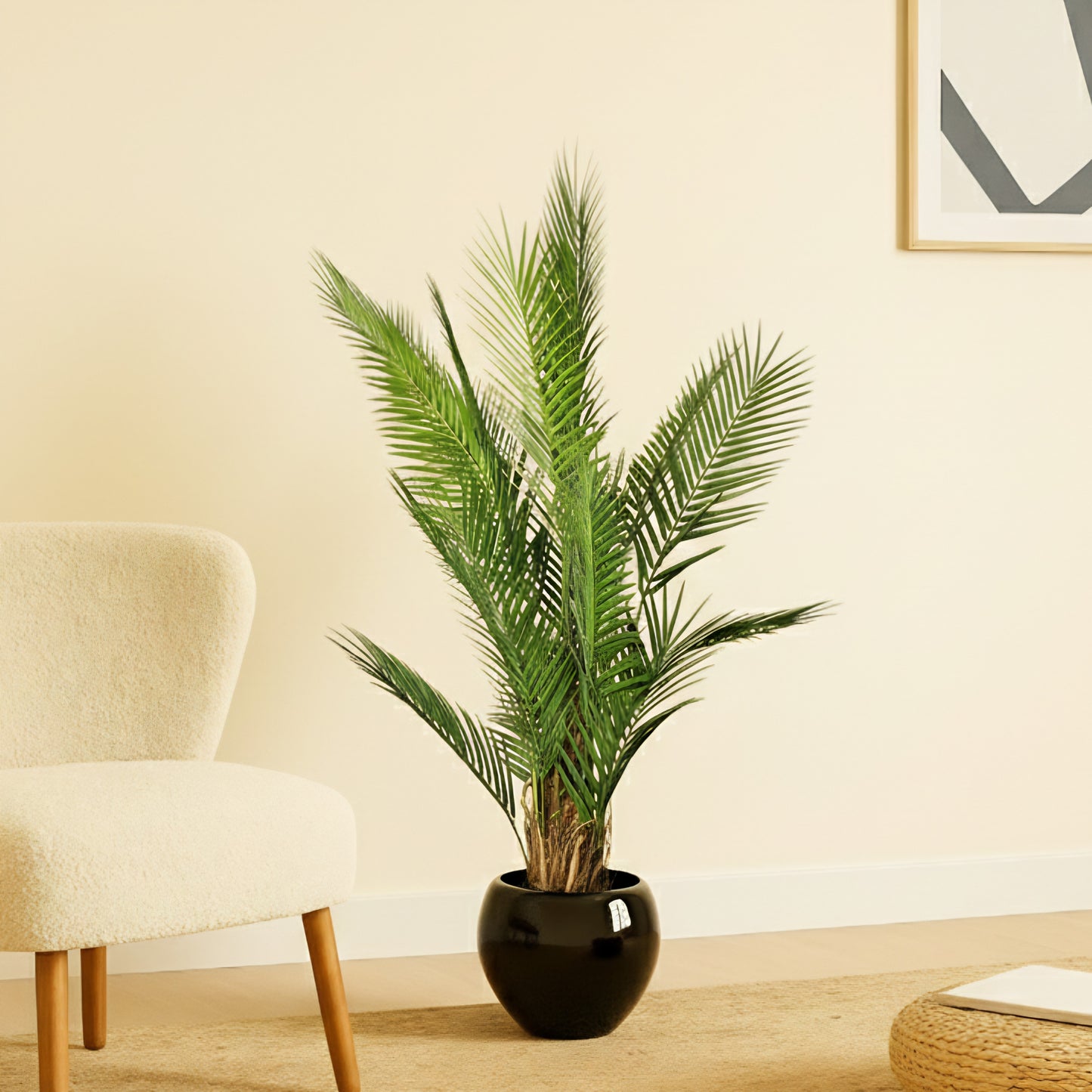 Palmier prestige s