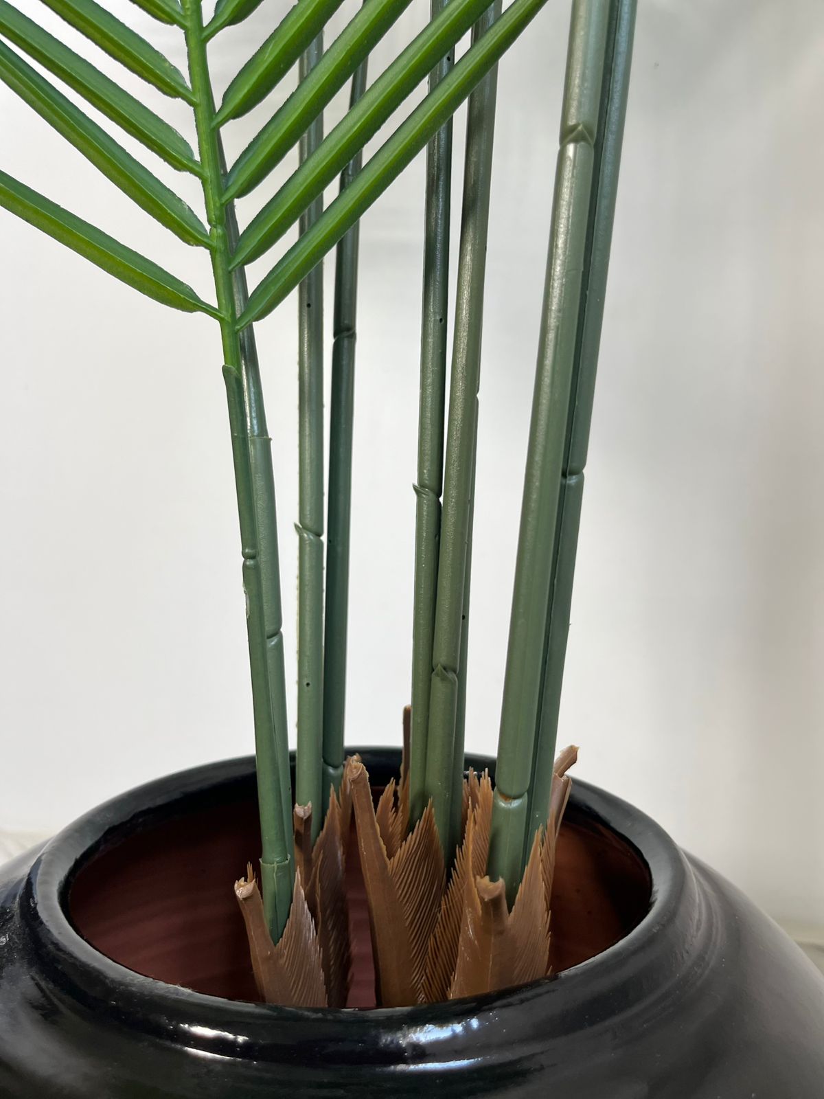 PALMÉA