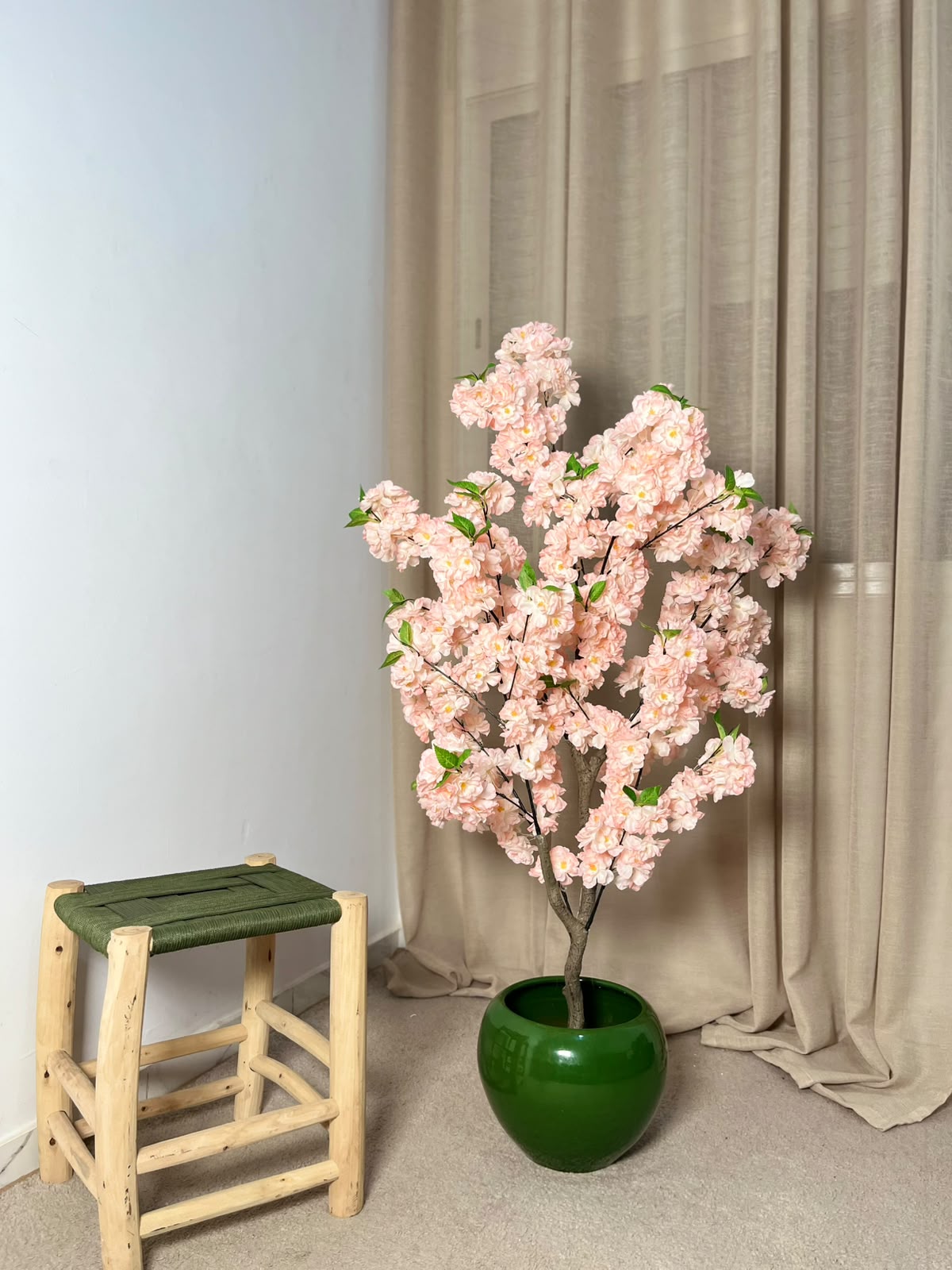 Cerisier Sakura Rose