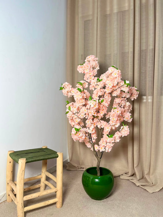 Cerisier Sakura Rose