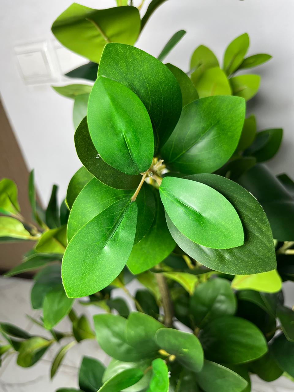 Ficus Artificiel Premium
