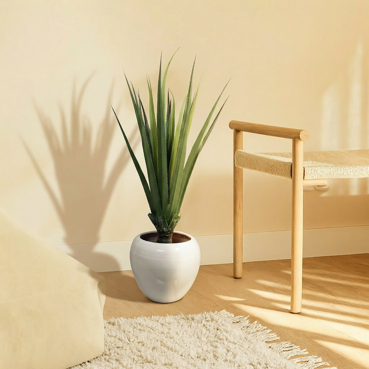 Agave