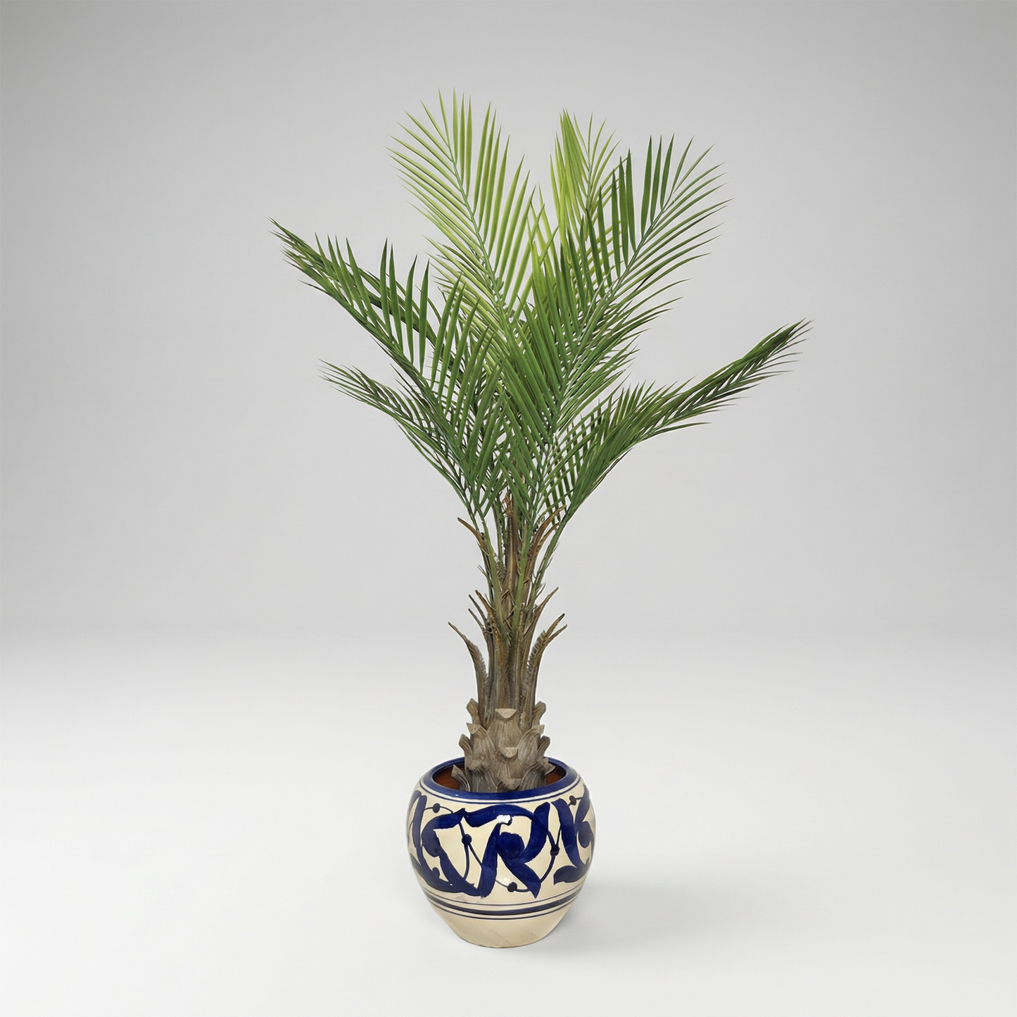 AZURA PALM