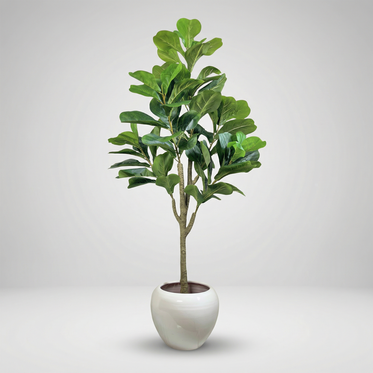 Ficus artificiel