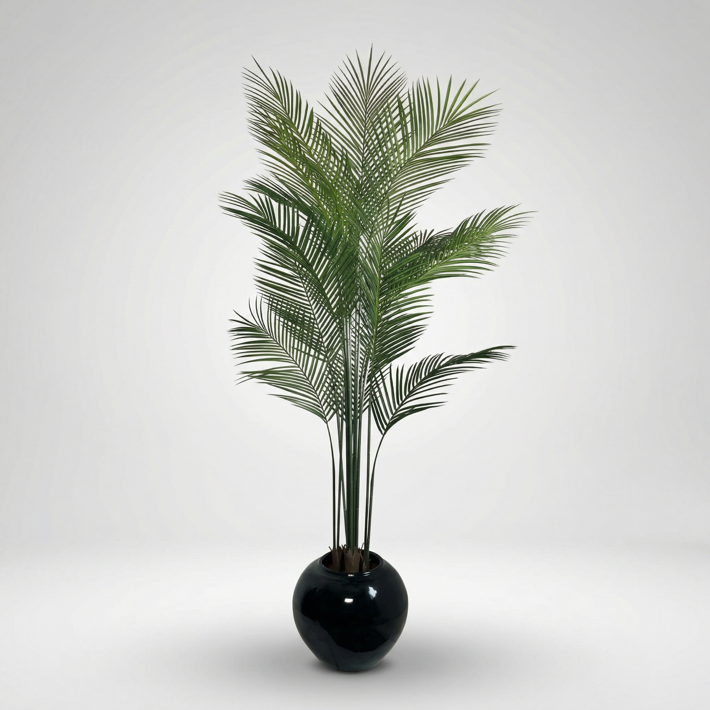 PALMÉA